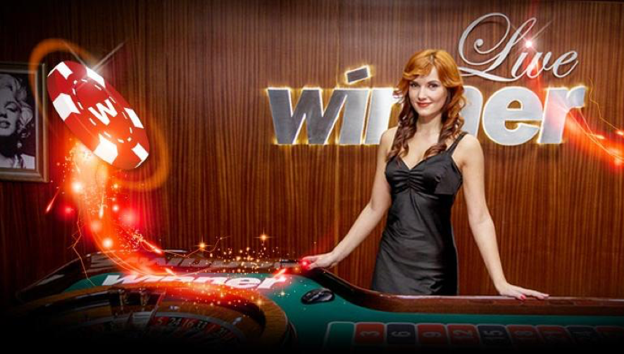 Winner casino